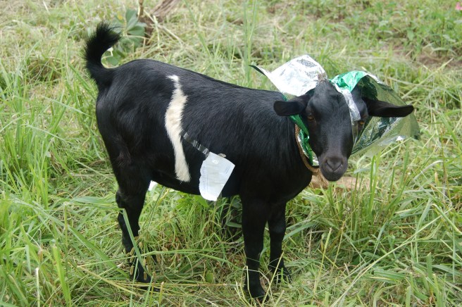 Just one of the many gifts.