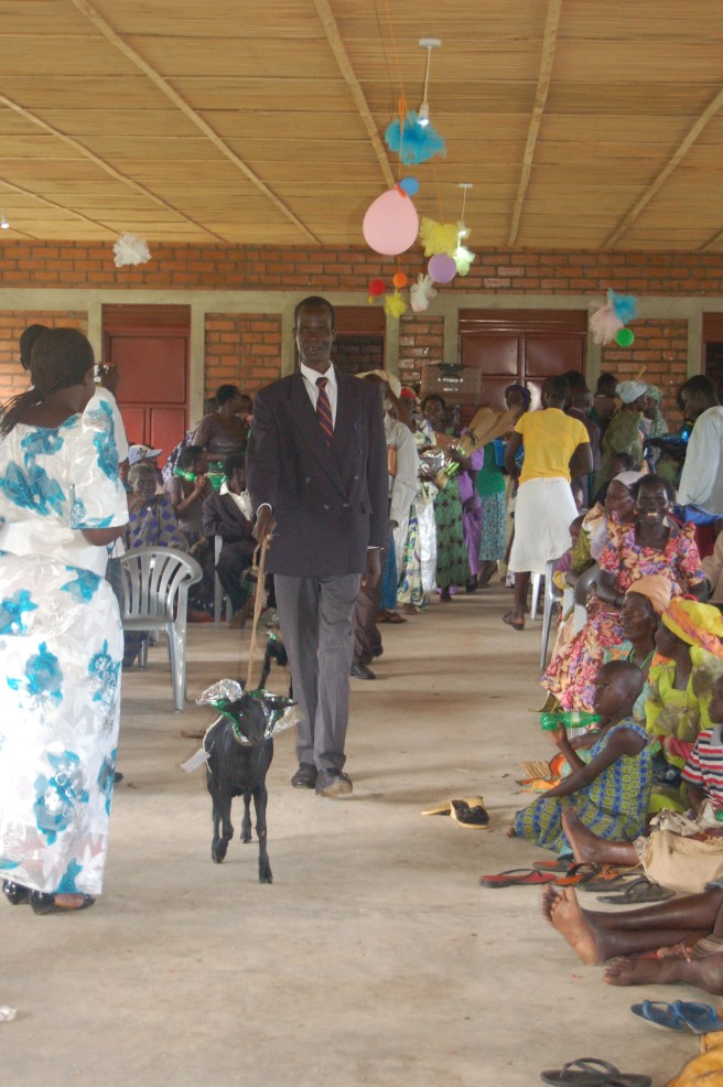 The gifts per-cessions began with goats.